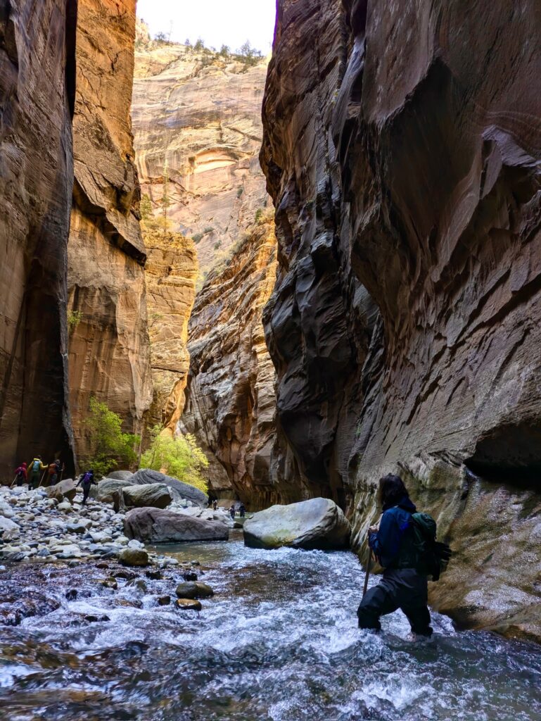Peaceful Canyon Setting in the Narrows of Zion