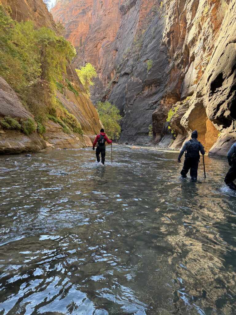 Hiking the narrows at Zion