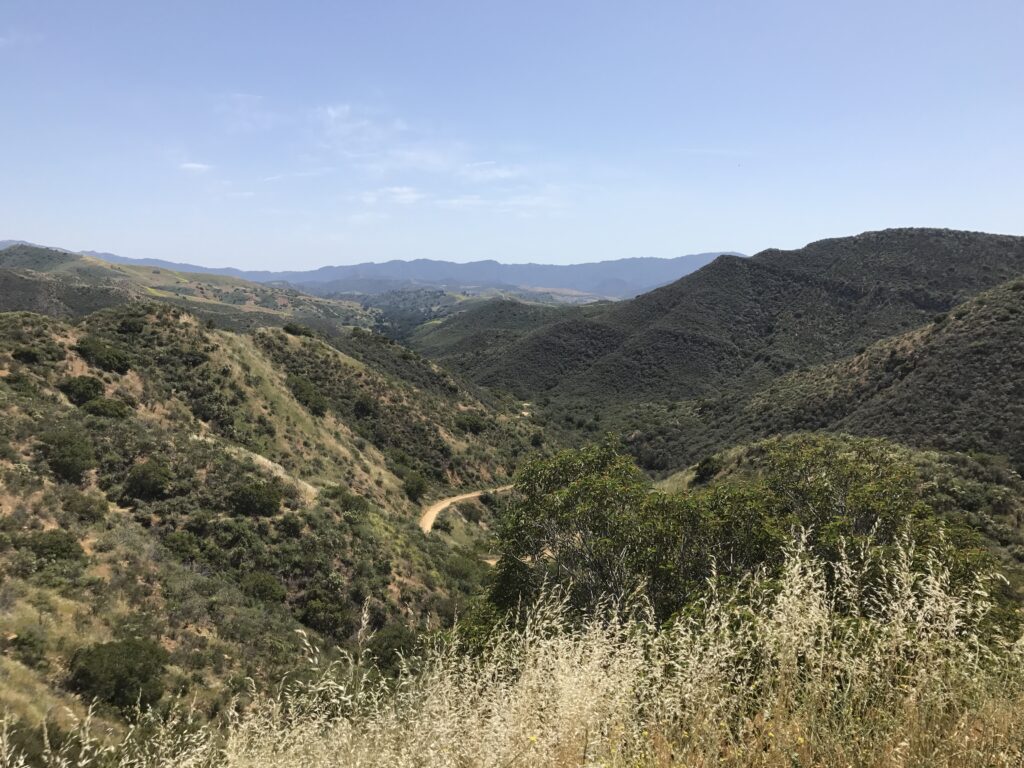 The Benefits of Hiking: Why Time on the Trail Changes More Than Your Fitness