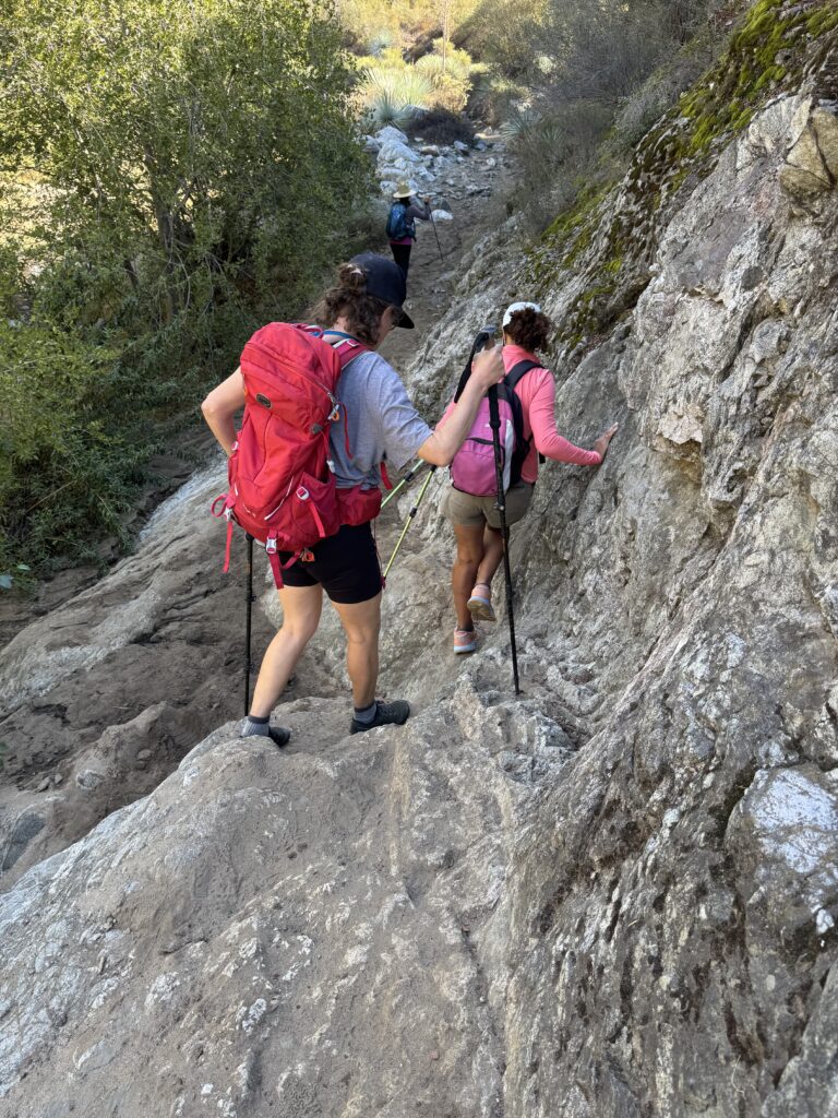 Benefits of Hiking on Uneven Terrain