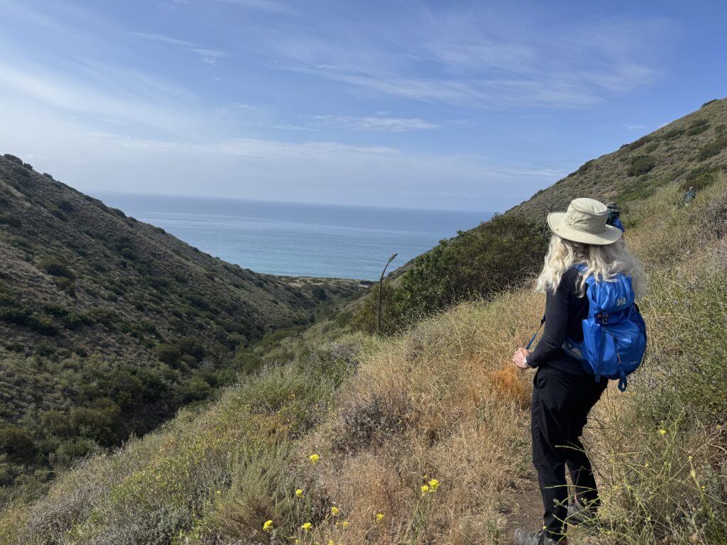 Benefits of Hiking, hiker on scenic trail
