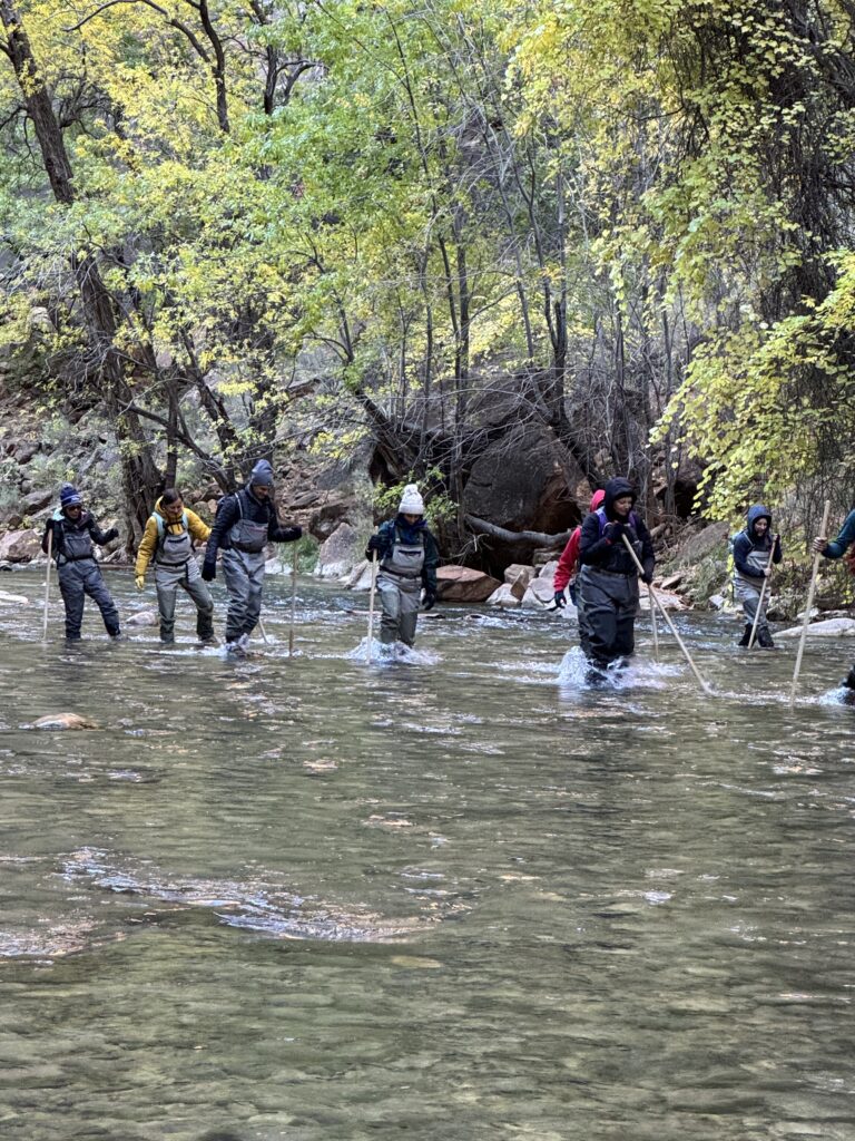 Group Hiking in the Narrows