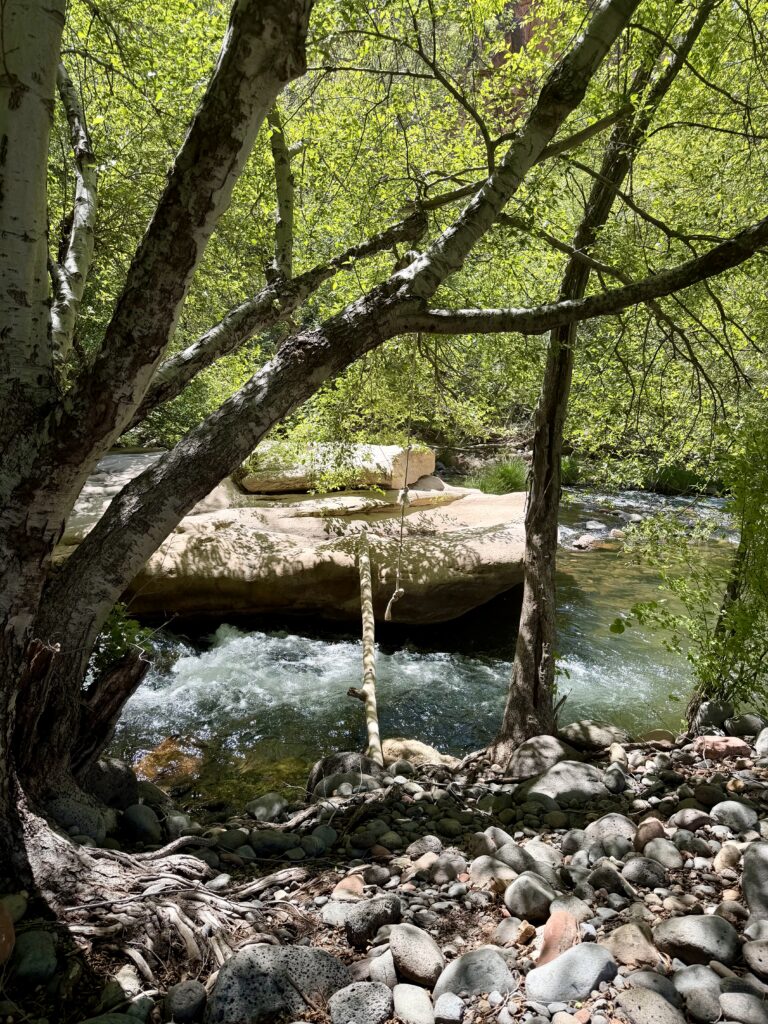 Slow Mornings by Oak Creek